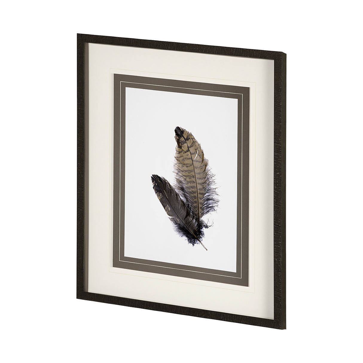 Feathered Friends by Nancy Crowell a Framed Art Print Matted under Glass from Mercana - Luna Furniture