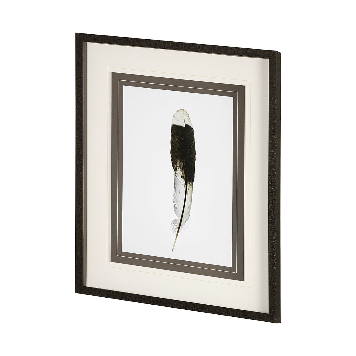 Flying solo by Nancy Crowell a Framed Art Print Matted under Glass from Mercana - Luna Furniture