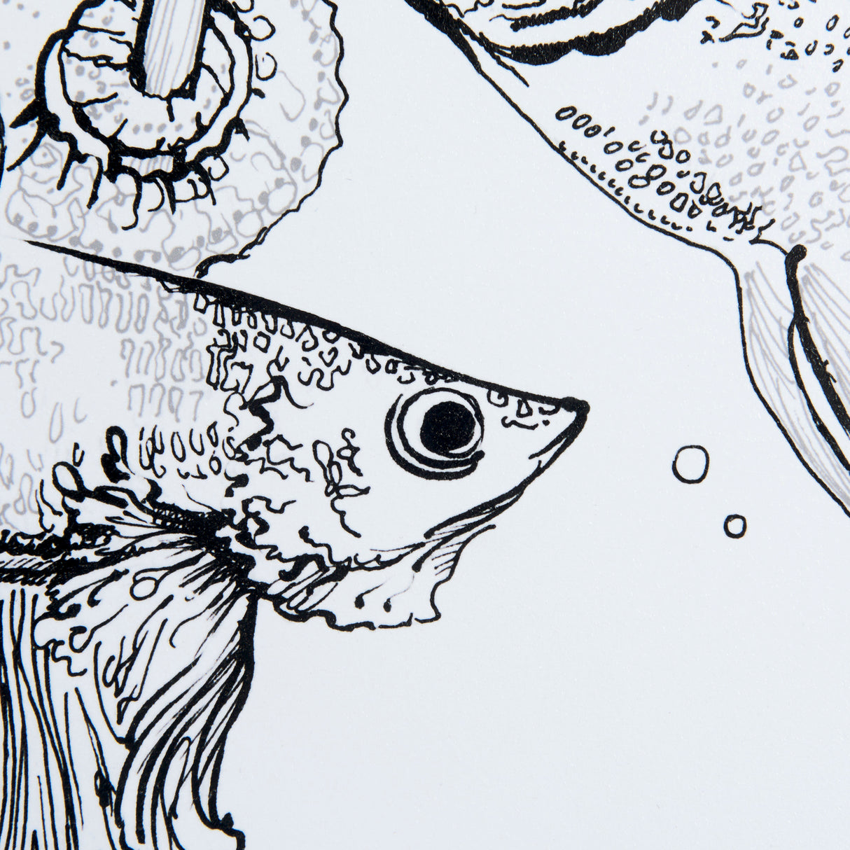 Fish White by Mercana Studio a Hand Embellished Textured Framed Art Print Matted under Glass from Mercana - Luna Furniture