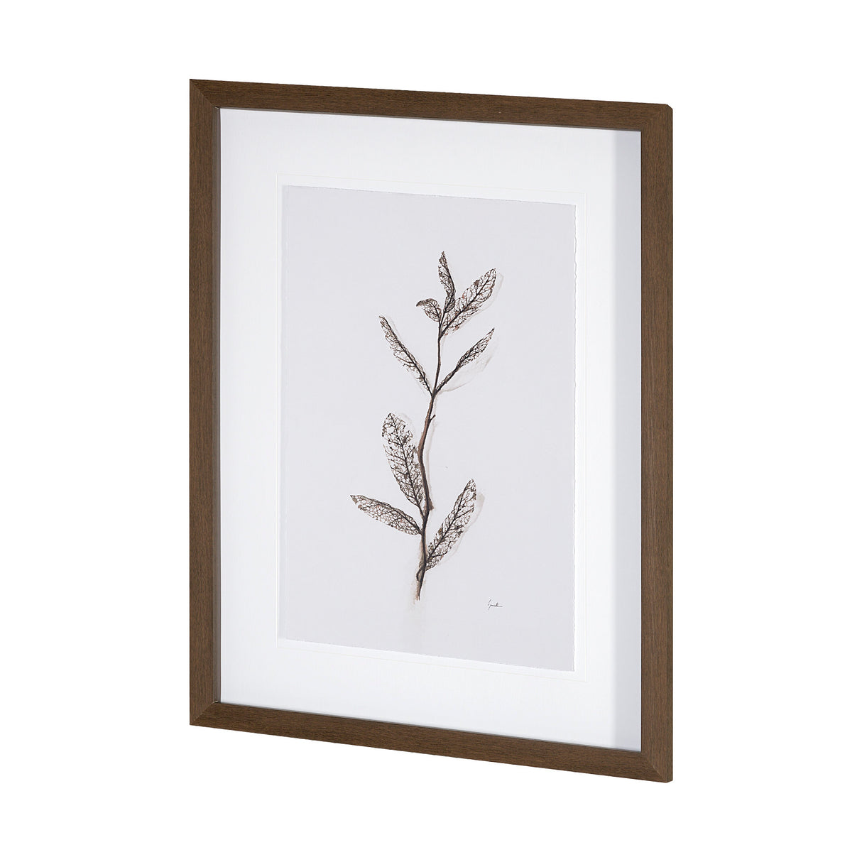 Olive Branch I by Gabrielle a Framed Art Print Matted under Glass from Mercana - Luna Furniture