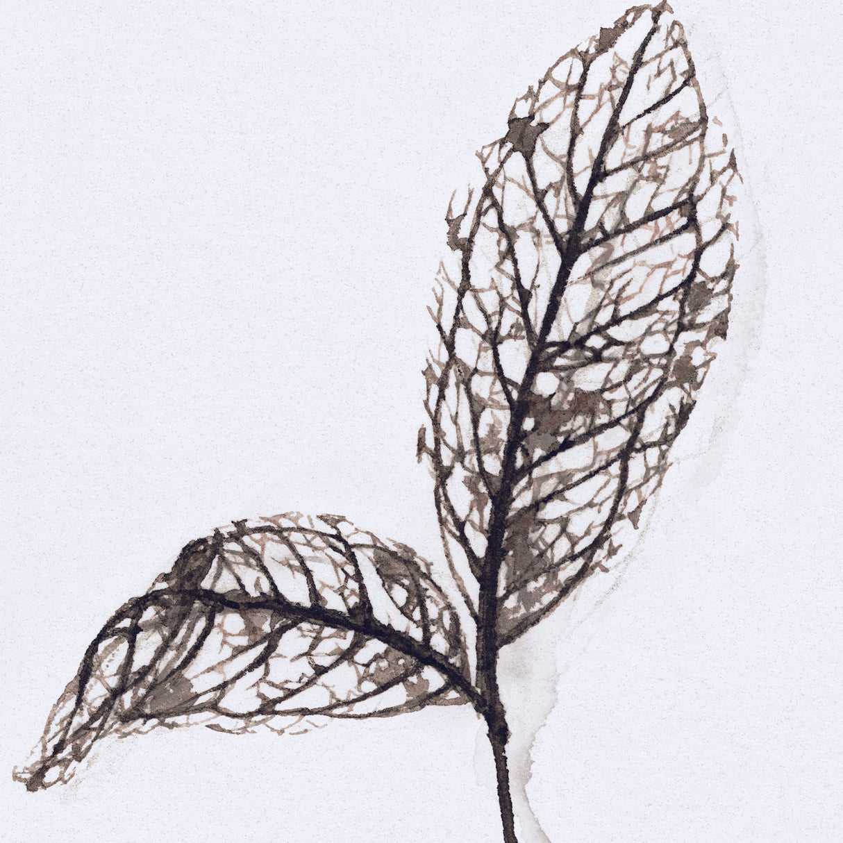 Olive Branch II by Gabrielle a Framed Art Print Matted under Glass from Mercana - Luna Furniture