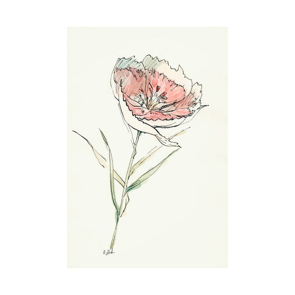 Dianthus II by Mercana Studio a Hand Embellished Textured Canvas