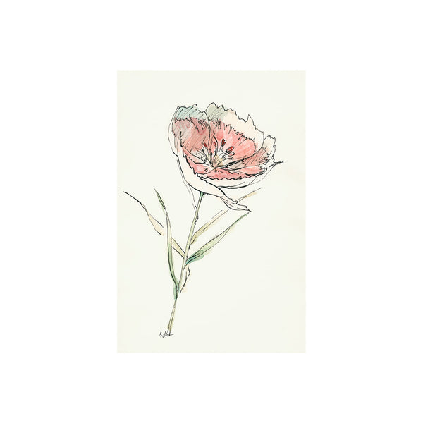 Dianthus II by Mercana Studio a Hand Embellished Textured Canvas