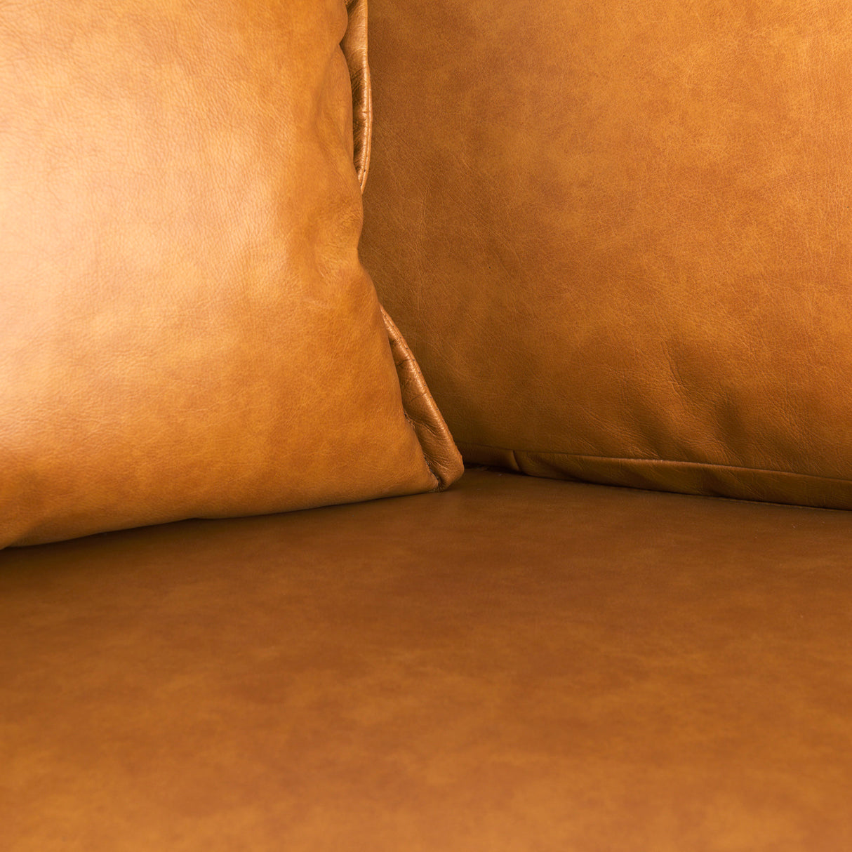 D'Arcy 65.0L x 37.0W x 34.0H Tan Leather Love Seat from Mercana - Luna Furniture