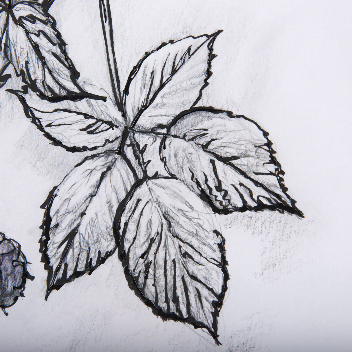 WildBerry Collection Blackberry Mercana Studio Hand Embellished Framed Art Print Matted under Glass from Mercana - Luna Furniture
