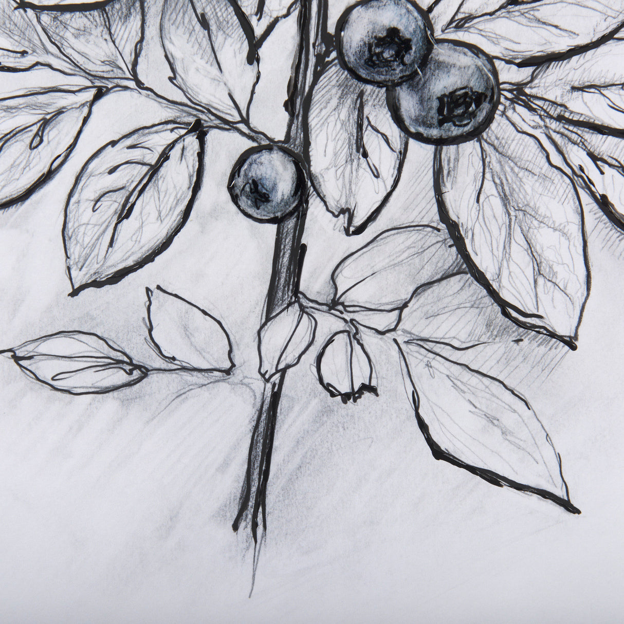 WildBerry Collection Blueberry by Mercana Studio Hand Embellished Framed Art Print Matted under Glas from Mercana - Luna Furniture