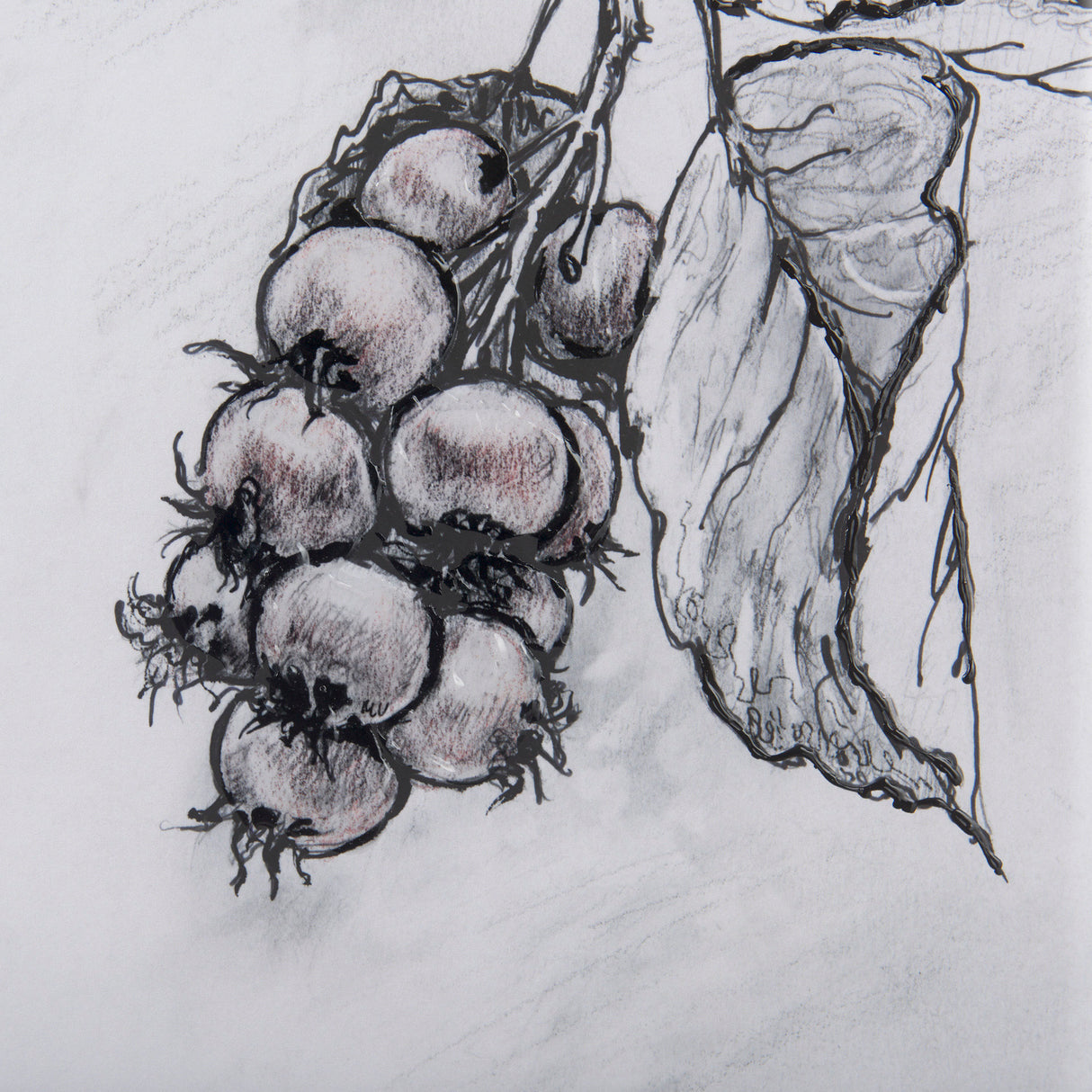 Saskatoonberry by Mercana Studio Hand Embellished Framed Art Print Matted under Glass from Mercana - Luna Furniture