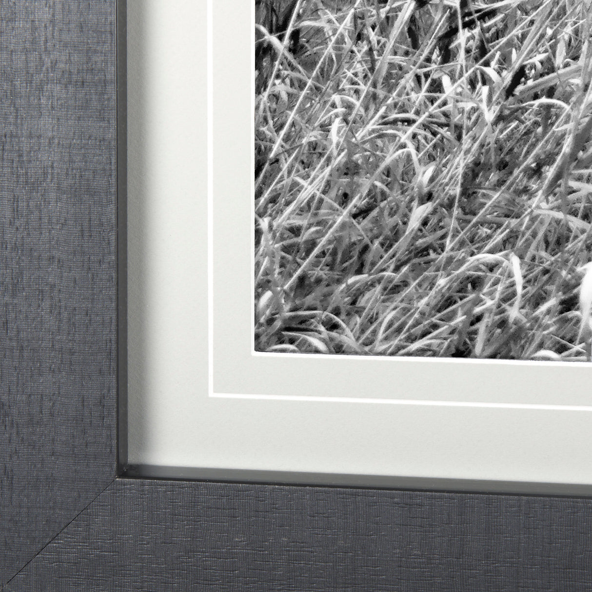 Grey & White Barn Ii by Mercana Studio Hand Embellished Textured Framed Photo Art Print Matted under from Mercana - Luna Furniture