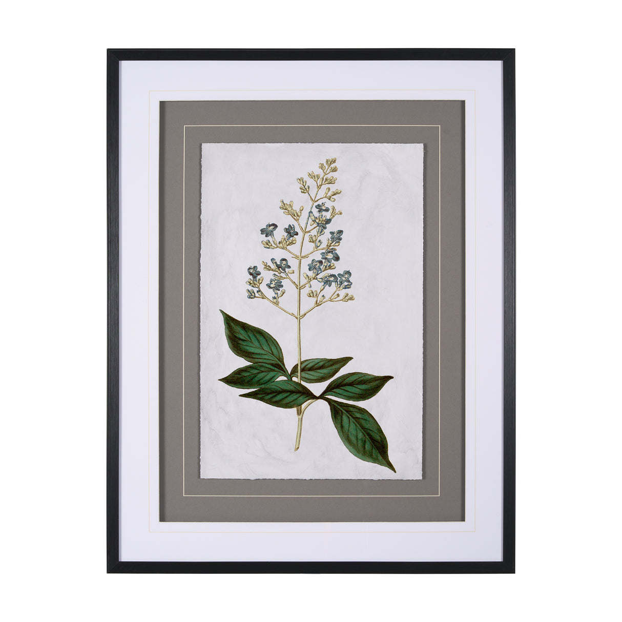 Soft Blue Botanoicals IV by Mercana Studio Hand Embellished Framed Art Print Matted under Glass from Mercana - Luna Furniture