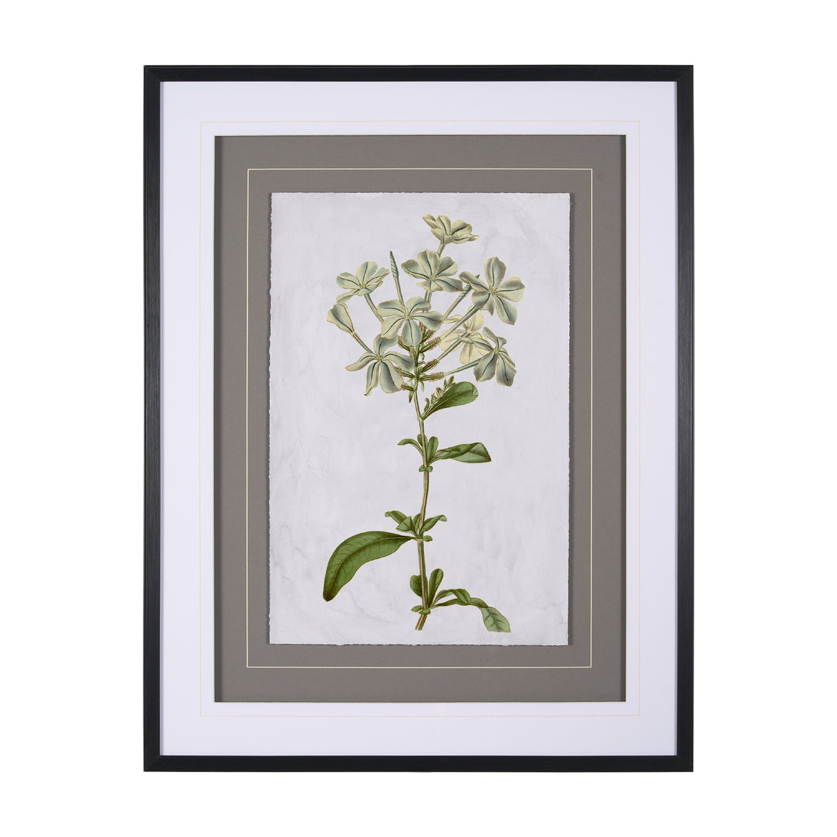 Soft Blue Botanoicals VII by Mercana Studio Hand Embellished Framed Art Print Matted under Glass from Mercana - Luna Furniture