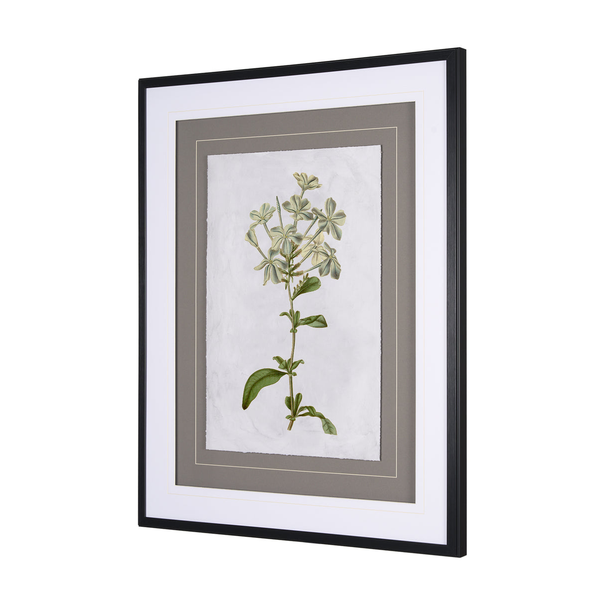 Soft Blue Botanoicals VII by Mercana Studio Hand Embellished Framed Art Print Matted under Glass from Mercana - Luna Furniture