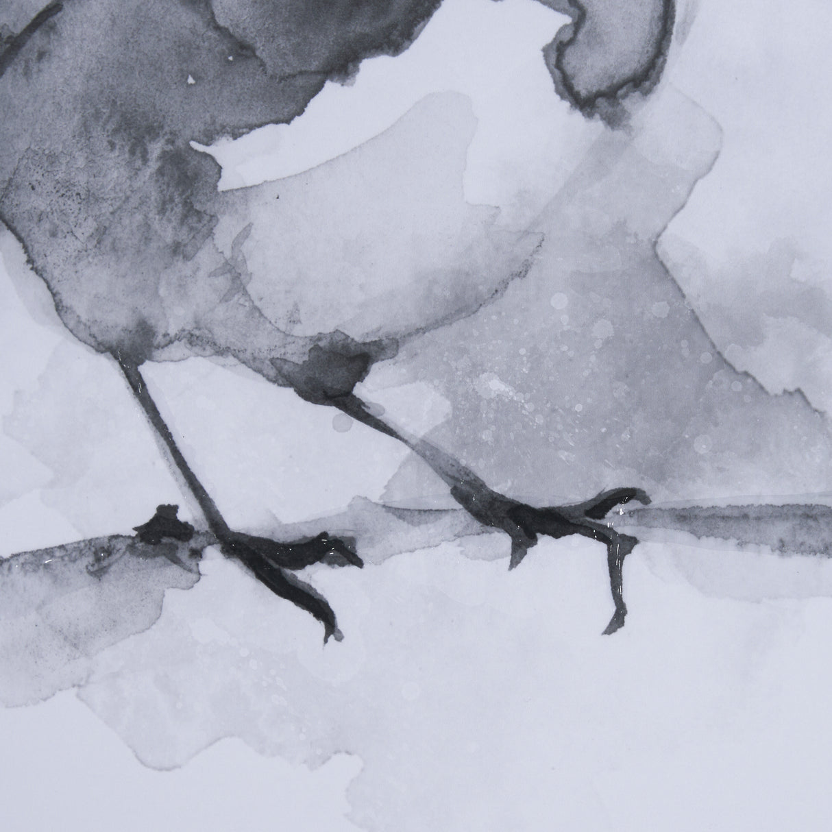 Robin BW I by Mercana Studio a Hand Embellished Textured Framed Art Print Matted under Glass from Mercana - Luna Furniture