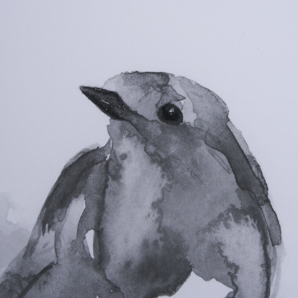 Robin BW I by Mercana Studio a Hand Embellished Textured Framed Art Print Matted under Glass from Mercana - Luna Furniture
