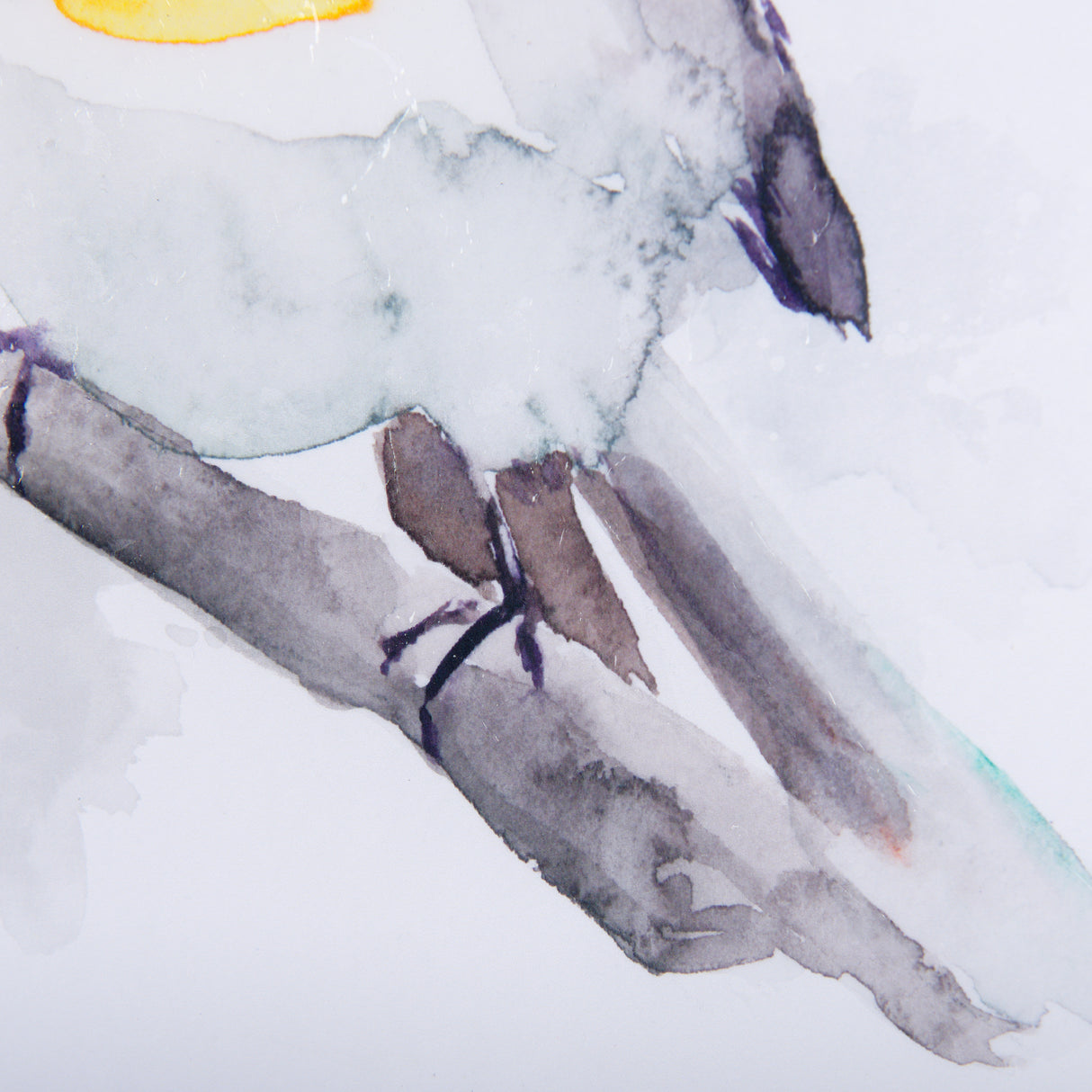 Robin I by Mercana Studio a Hand Embellished Textured Framed Art Print Matted under Glass from Mercana - Luna Furniture