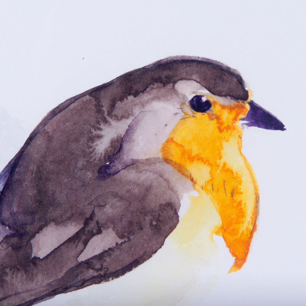 Robin II by Mercana Studio a Hand Embellished Textured Framed Art Print Matted under Glass from Mercana - Luna Furniture