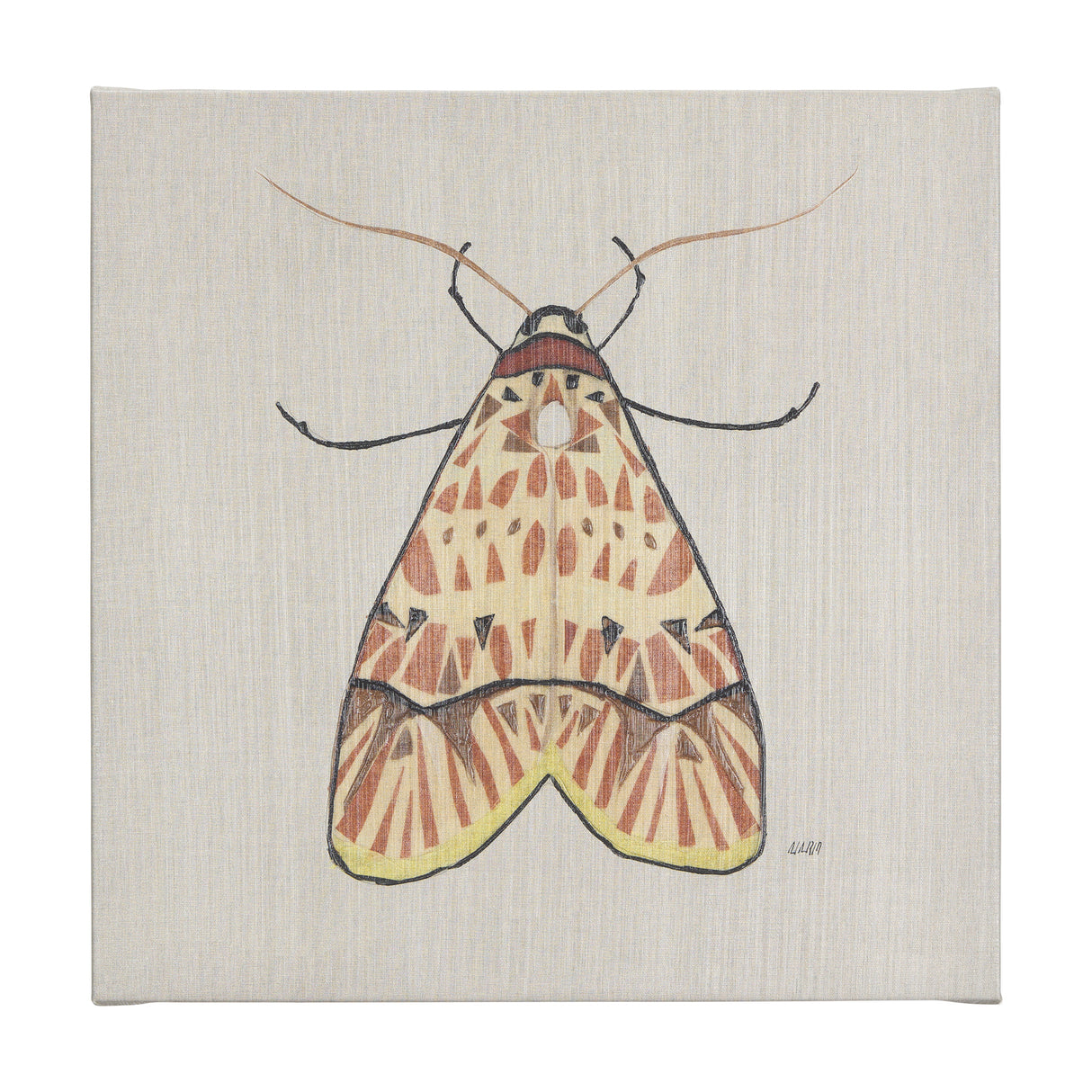 Moth I by Mercana Studio a Hand Embellished Textured Canvas from Mercana - Luna Furniture