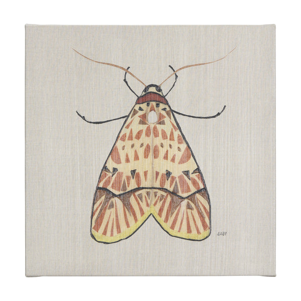 Moth I by Mercana Studio a Hand Embellished Textured Canvas