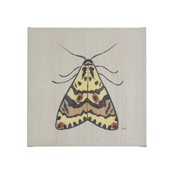 Moth III by Mercana Studio a Hand Embellished Textured Canvas