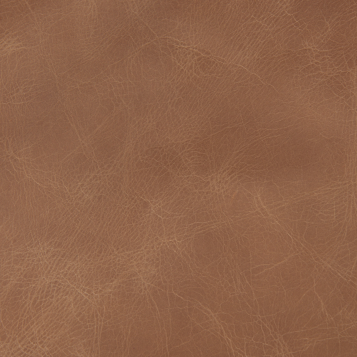 Raeleigh 28.0L x 34.1W x 34.4H Cognac Leather W/ Light Brown Wood Frame Accent Chair from Mercana - Luna Furniture
