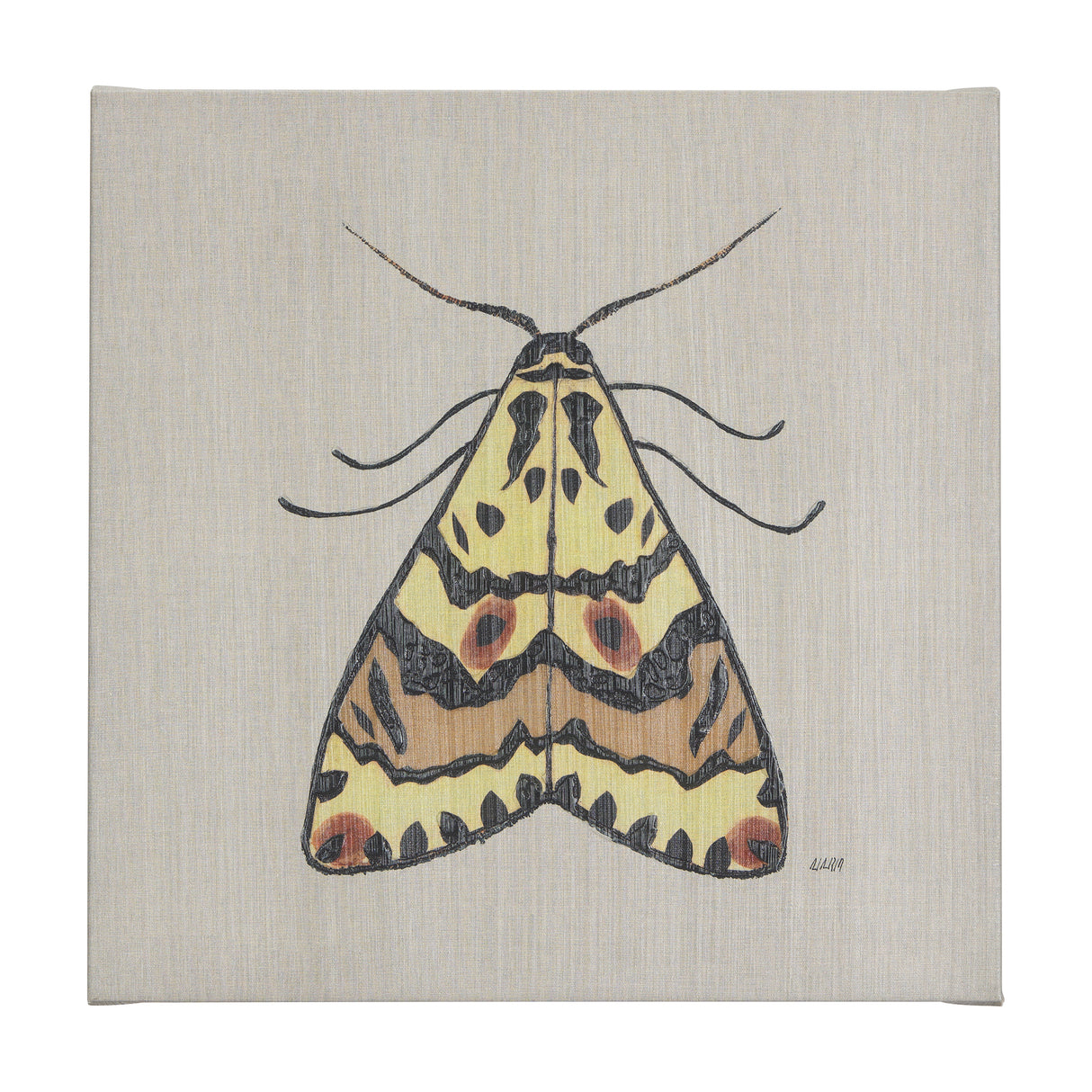 Moth III by Mercana Studio a Hand Embellished Textured Canvas from Mercana - Luna Furniture