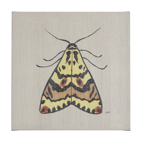 Moth III by Mercana Studio a Hand Embellished Textured Canvas
