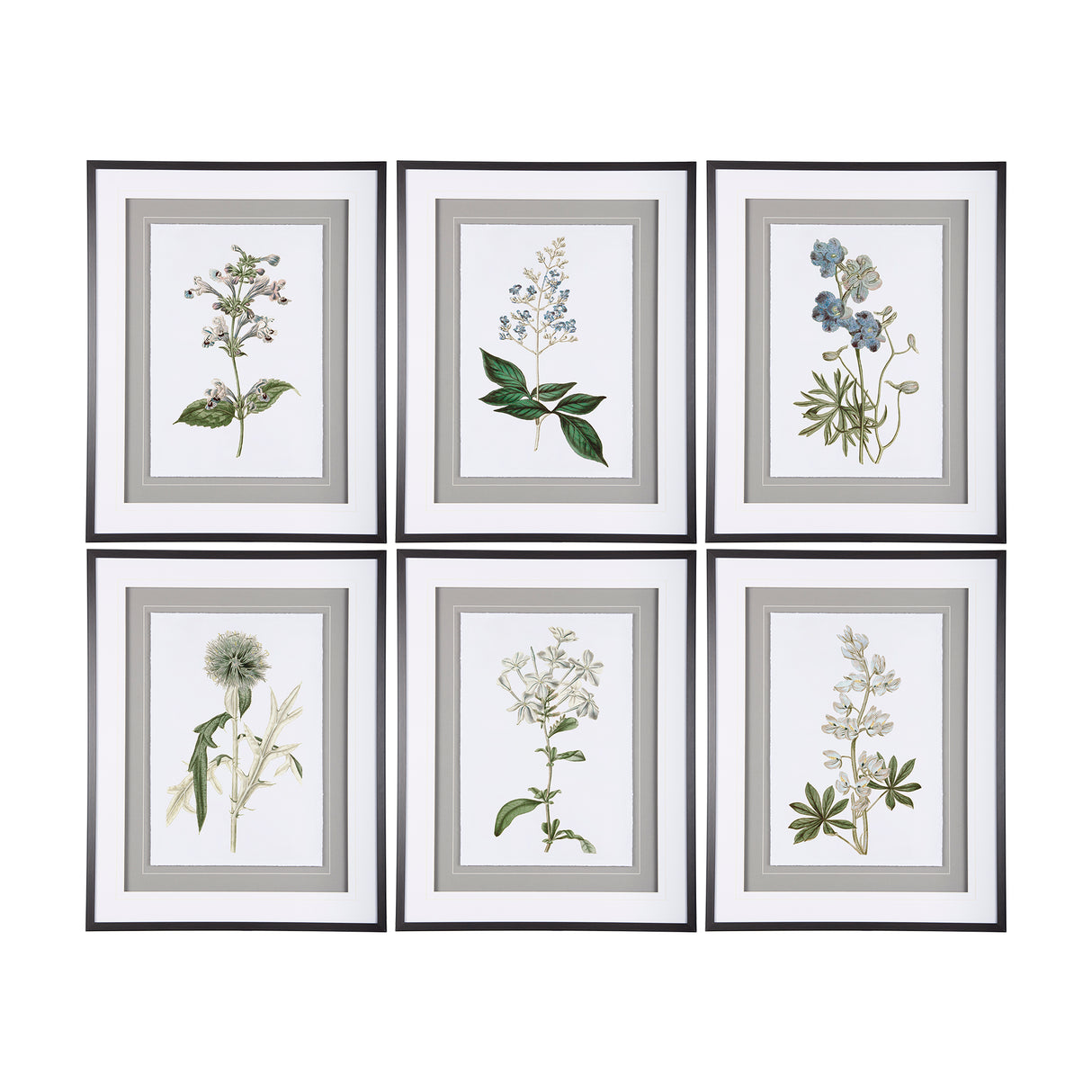 Soft Blue Botanoicals VIII by Mercana Studio Hand Embellished Framed Art Print Matted under Glass from Mercana - Luna Furniture