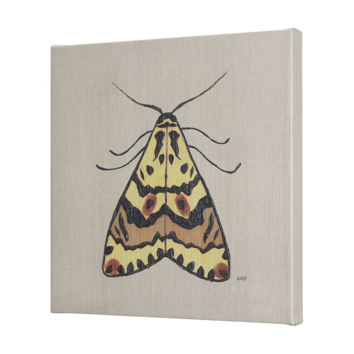 Moth III by Mercana Studio a Hand Embellished Textured Canvas from Mercana - Luna Furniture