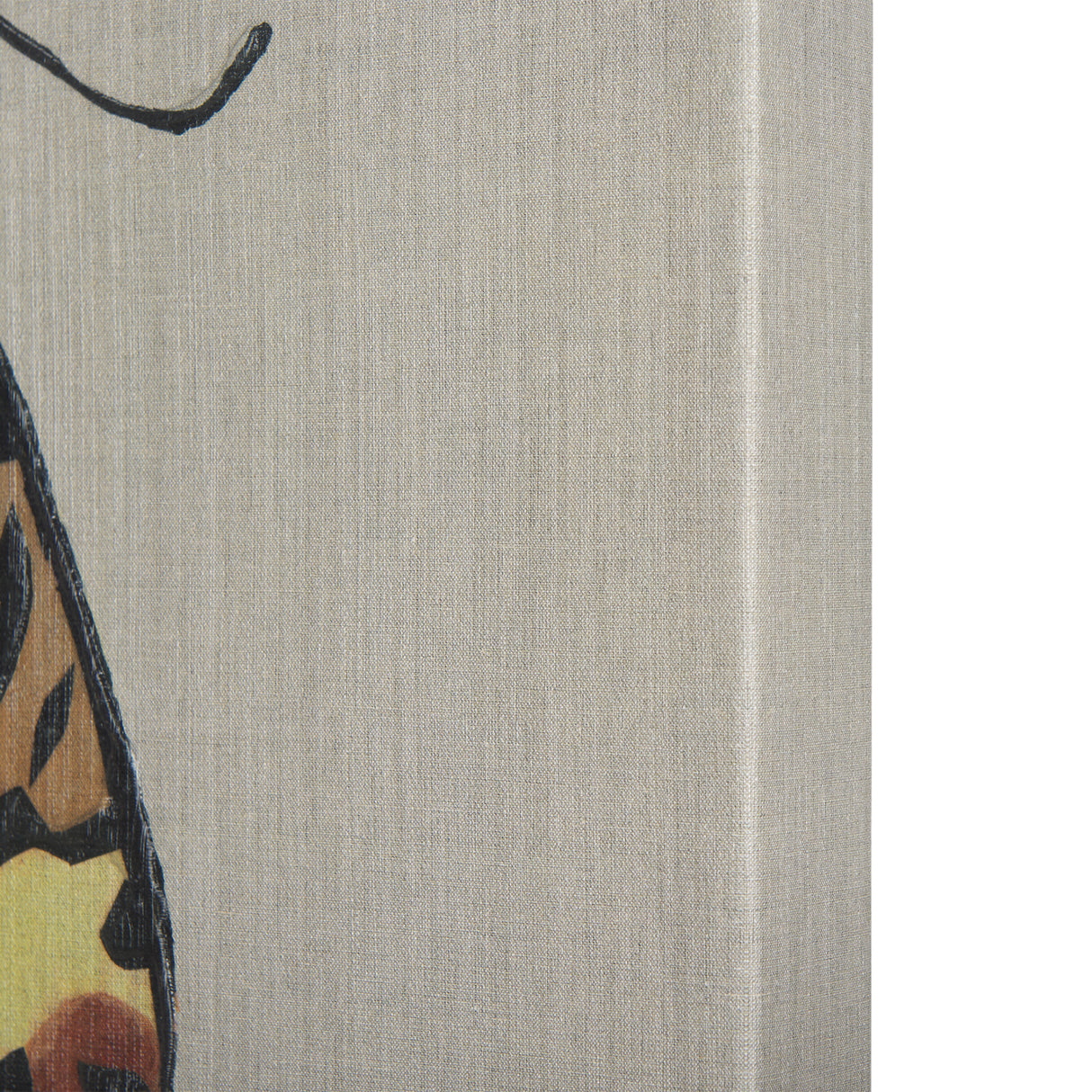 Moth III by Mercana Studio a Hand Embellished Textured Canvas from Mercana - Luna Furniture