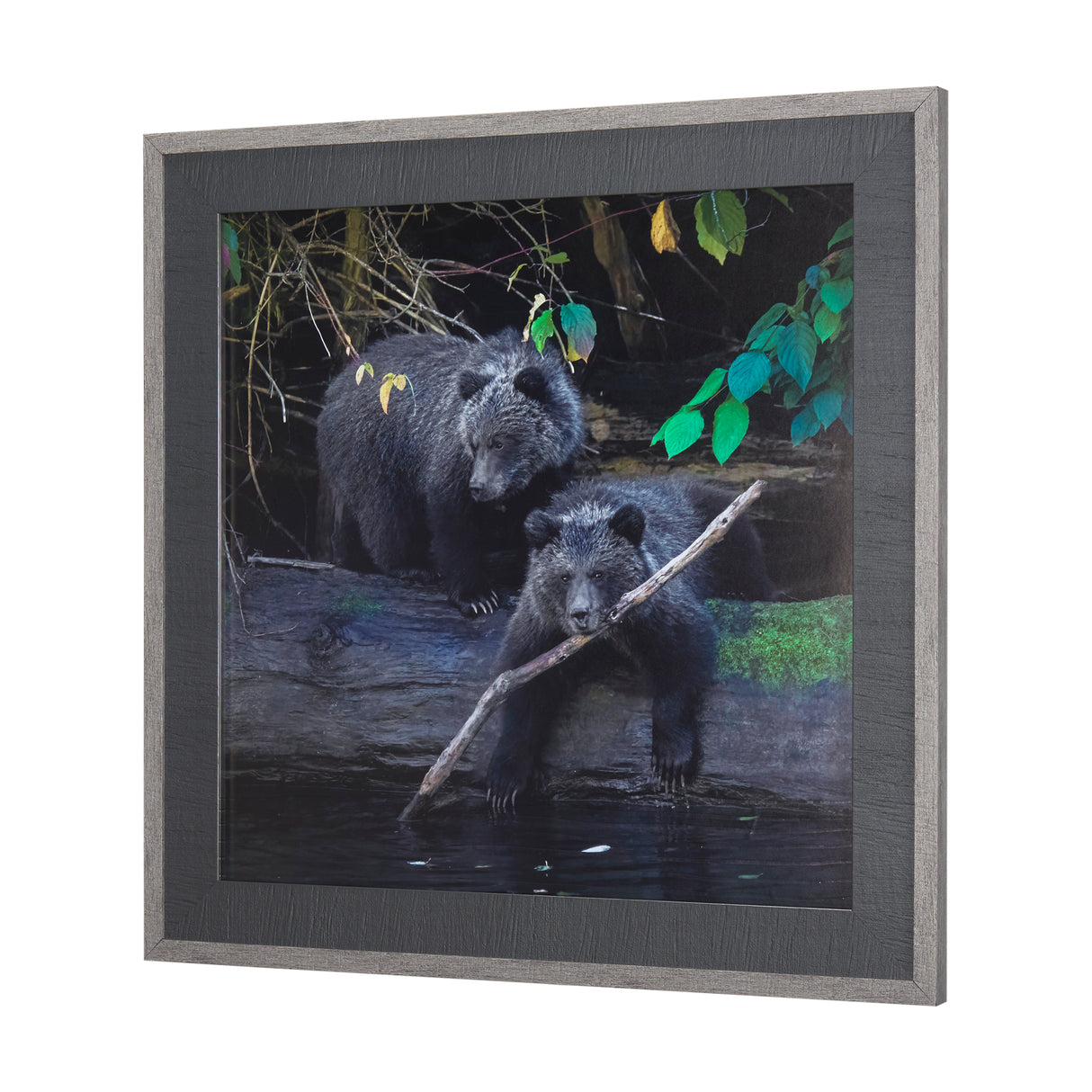 Playing Bears by Chad Mackay a Hand Embellished Textured Framed Photo Art Print Matted under Glass from Mercana - Luna Furniture