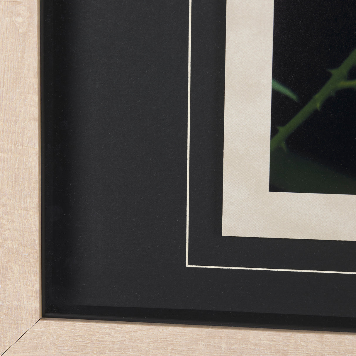 Bear by Chad Mackay a Framed Photo Art Print Matted under Glass from Mercana - Luna Furniture