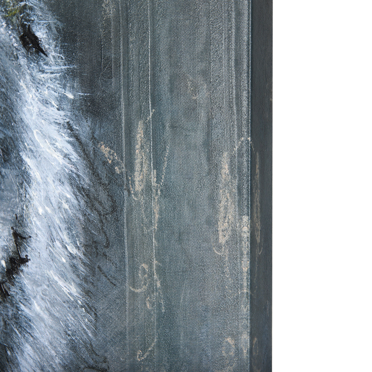Animal Portrait II by Mercana Studio a Hand Embellished Textured Canvas from Mercana - Luna Furniture