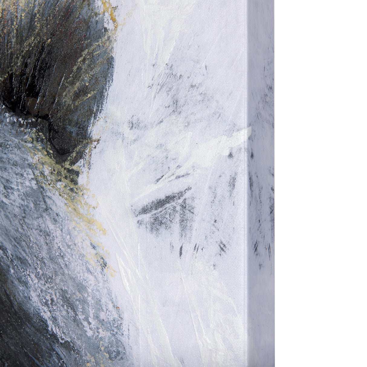 Animal Portrait III by Mercana Studio a Hand Embellished Textured Canvas from Mercana - Luna Furniture