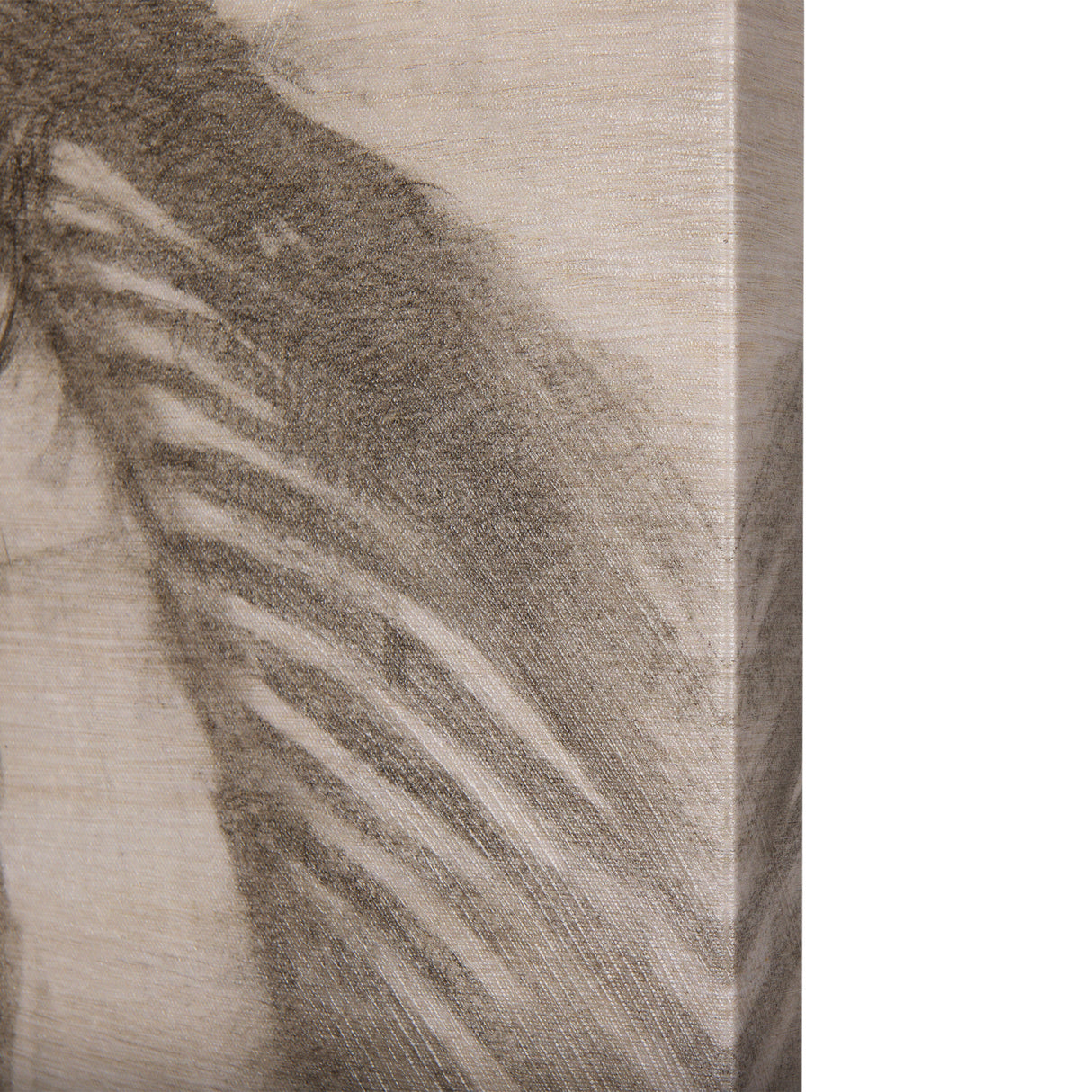 Shadows on wood I by Mercana Studio a Hand Embellished Textured Canvas from Mercana - Luna Furniture