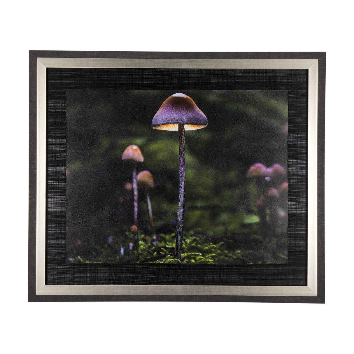 Mushroom by Chad Mackay a Hand Embellished Textured Framed Photo Art Print from Mercana - Luna Furniture