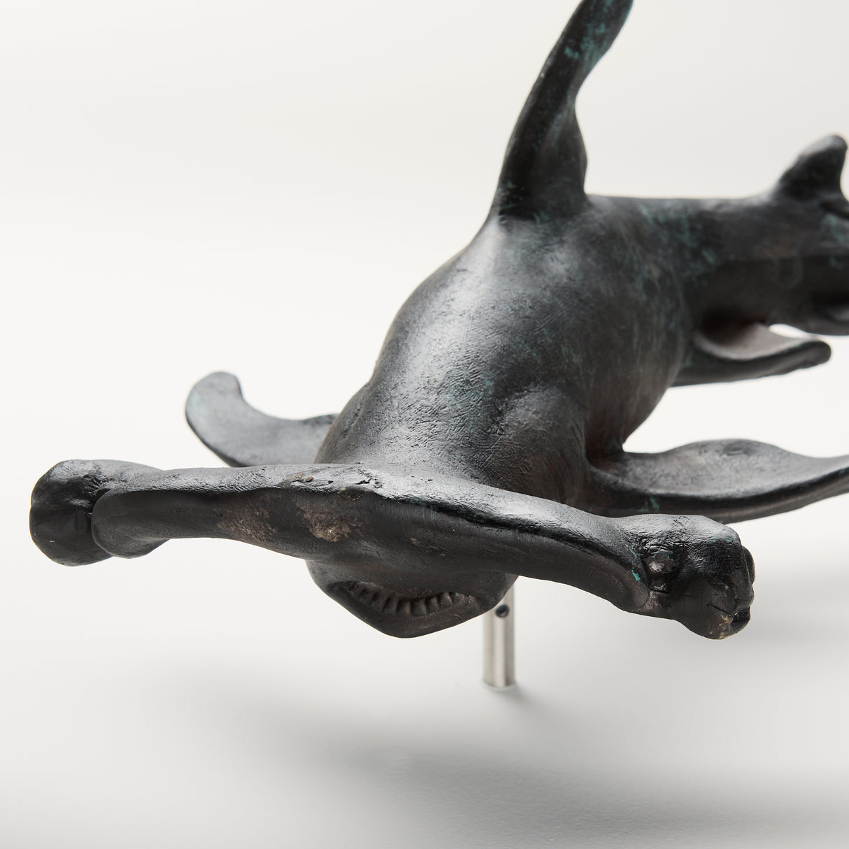 Acus 24H Large Hammer Head Shark Wall Decor from Mercana - Luna Furniture