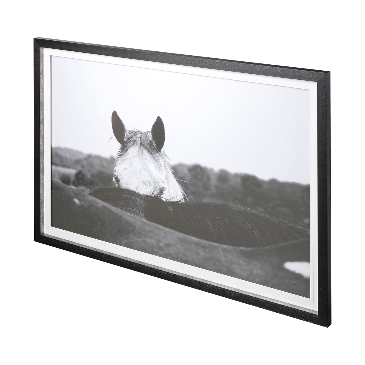 Flirt by Aledanda a Framed Photo Art Print Matted under Glass from Mercana - Luna Furniture