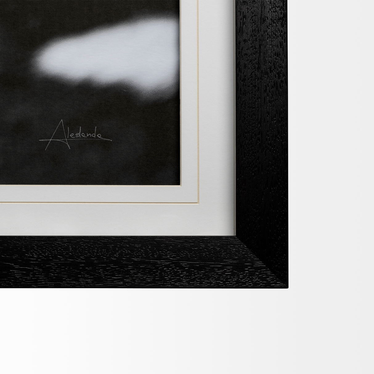 Flirt by Aledanda a Framed Photo Art Print Matted under Glass from Mercana - Luna Furniture