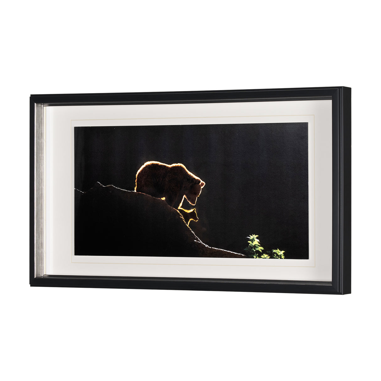 Protection by Xavier Ortega a Framed Photo Art Print Matted under Glass from Mercana - Luna Furniture