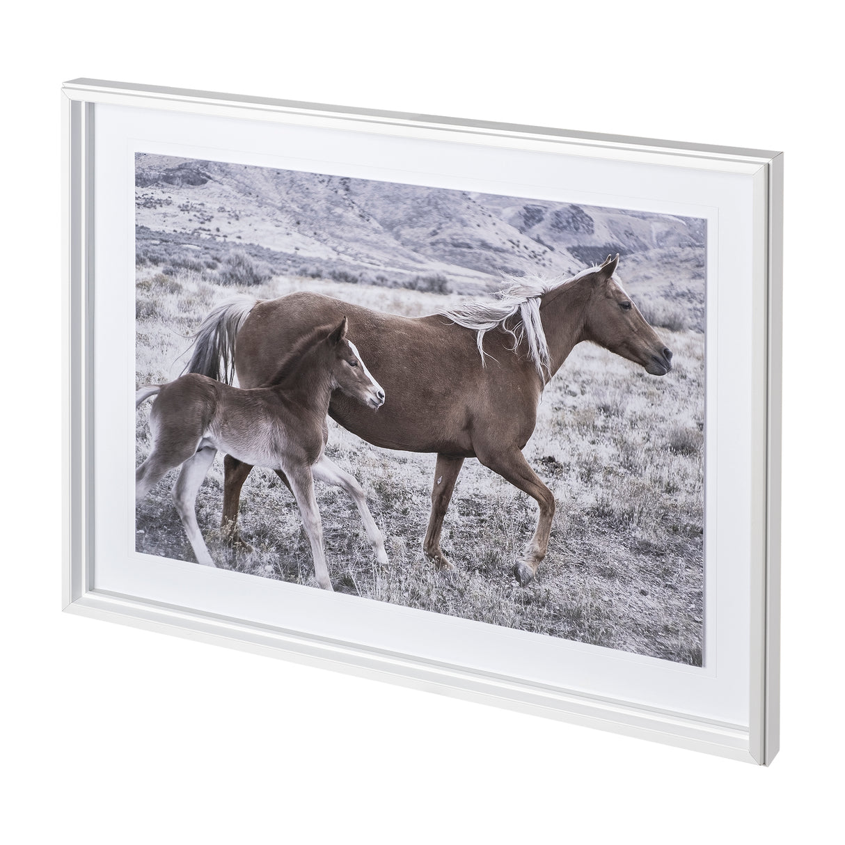 Horse 2 by Dunker a Framed Photo Art Print Matted under Glass from Mercana - Luna Furniture