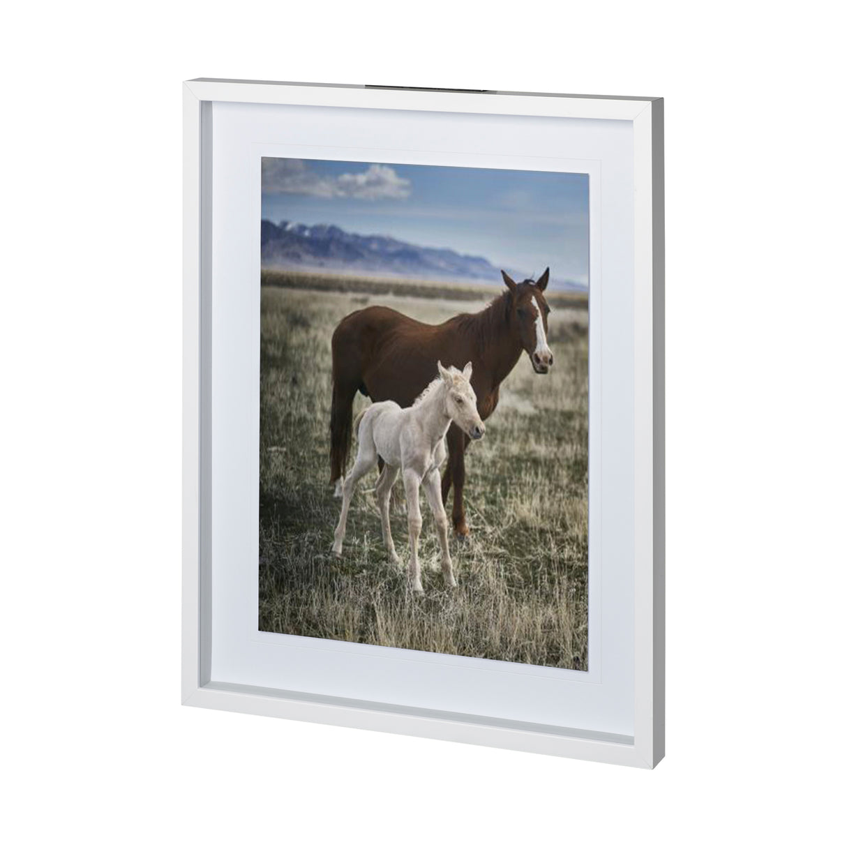 Horse 6 by Dunker a Framed Photo Art Print Matted under Glass from Mercana - Luna Furniture