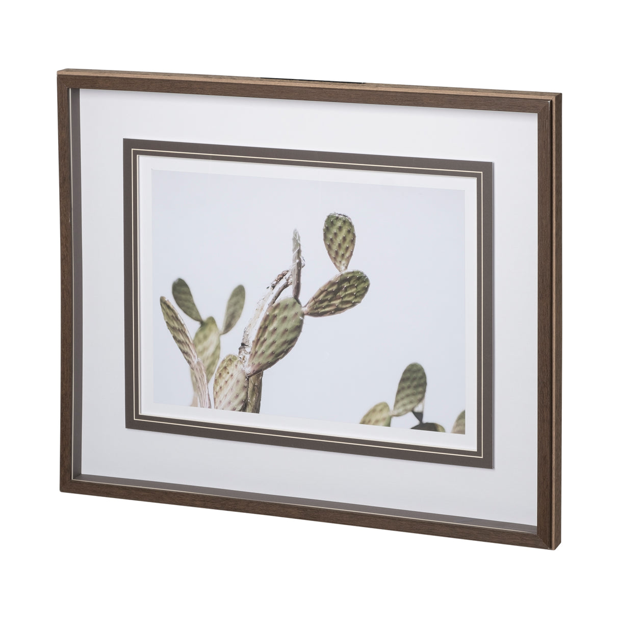 AZ Botanical 37 by Dunker a Framed Art Print Matted under Glass from Mercana - Luna Furniture