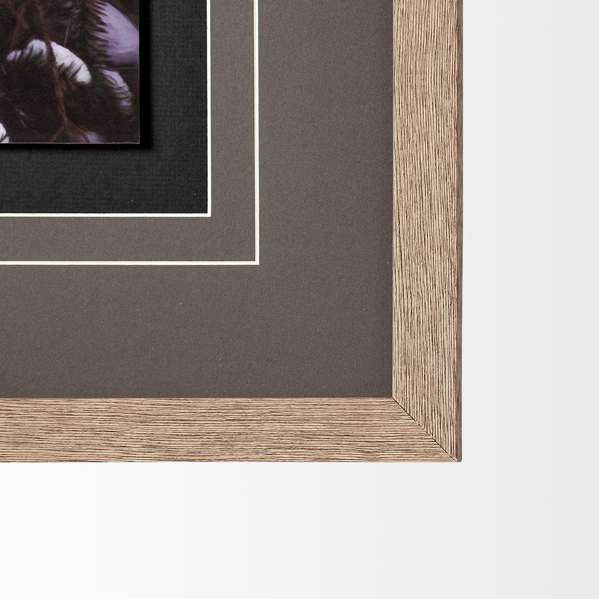 Owl in the Snow by PHBurchett a Framed Photo Art Print Matted under Glass from Mercana - Luna Furniture