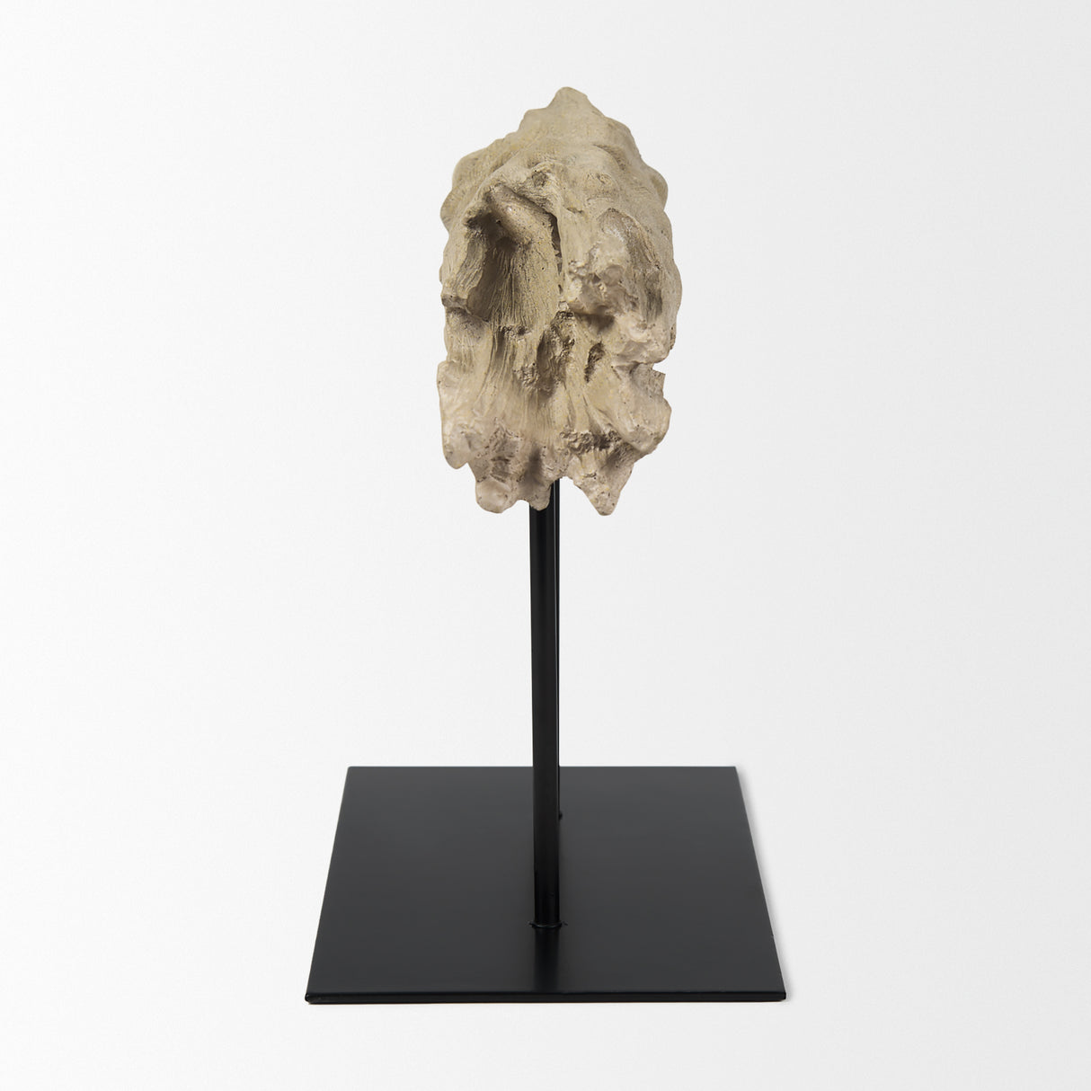 Dwell Cholla Wood Resin Decorative Object from Mercana - Luna Furniture