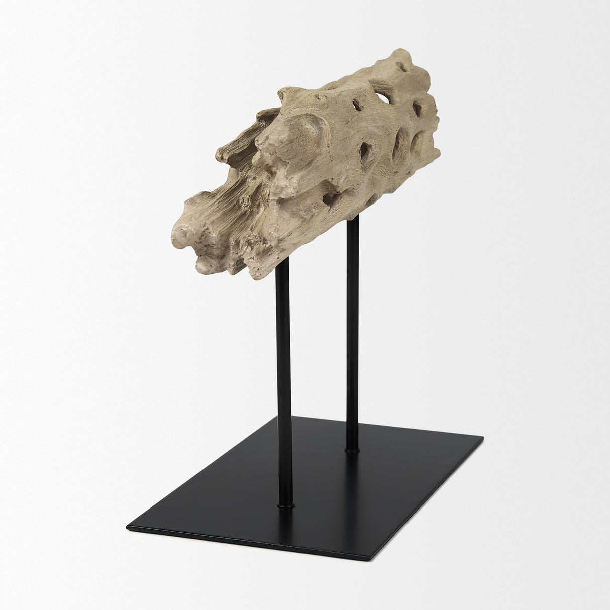 Dwell Cholla Wood Resin Decorative Object from Mercana - Luna Furniture