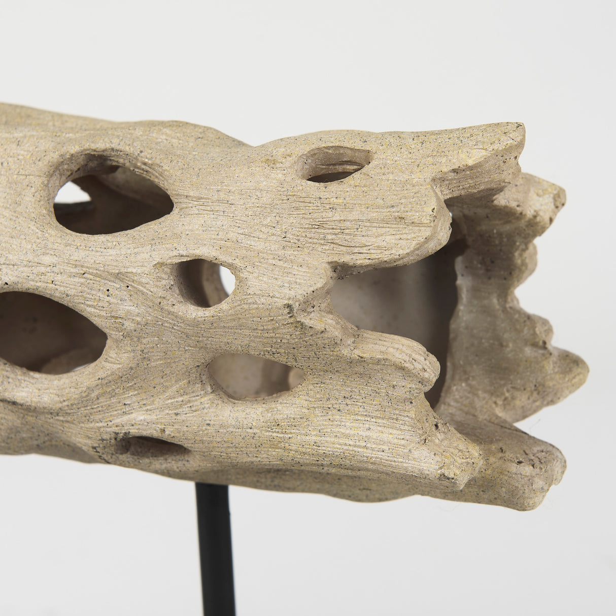 Dwell Cholla Wood Resin Decorative Object from Mercana - Luna Furniture