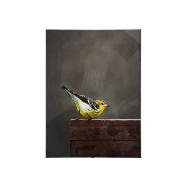 Graceful Poise IV (Blackburnian Warbler)(30 x 40)