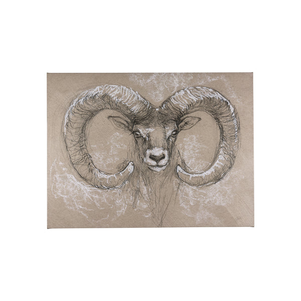 Sketch of animal I (Wild sheep) by Mercana Studio a Hand Embellished Textured Canvas