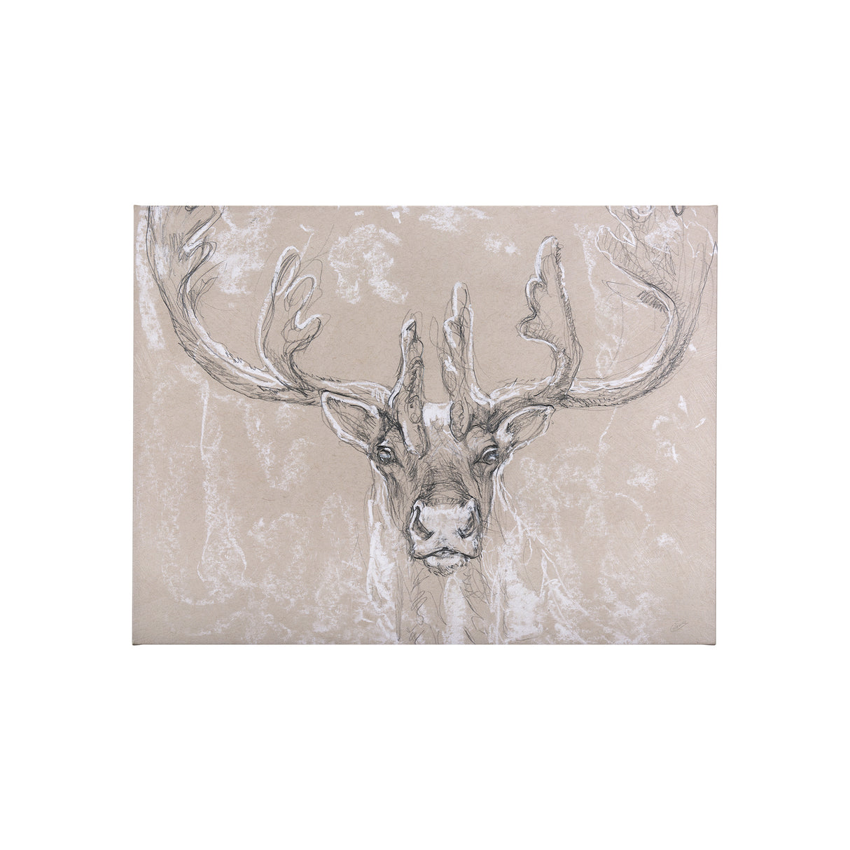 Sketch of animal II (Caribou) by Mercana Studio a Hand Embellished Textured Canvas from Mercana - Luna Furniture