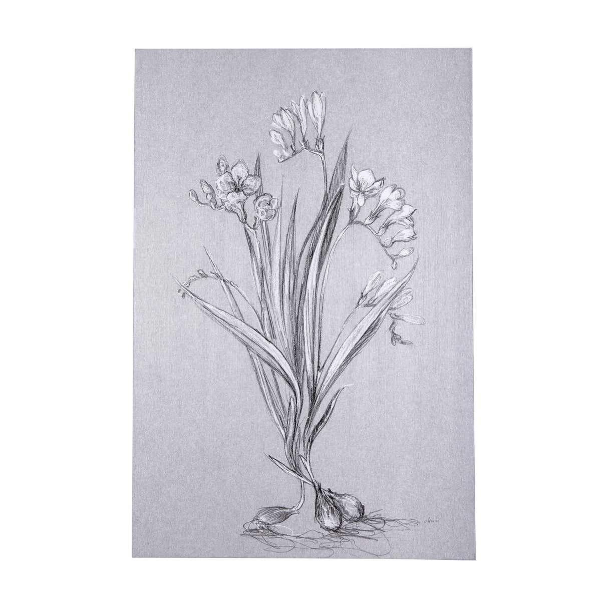 Botanical sketches III (Grey) by Mercana Studio a Hand Embellished Textured Canvas from Mercana - Luna Furniture