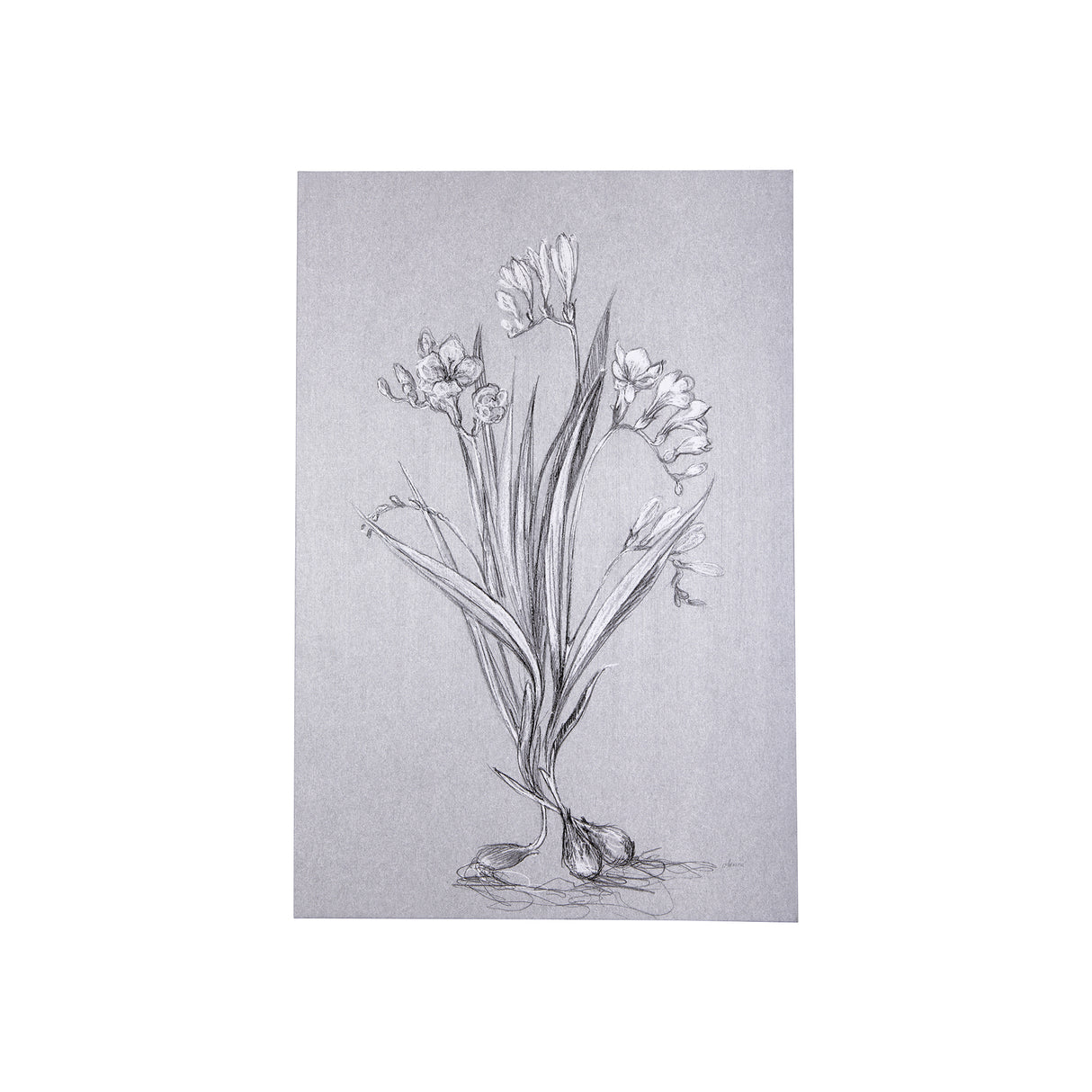 Botanical sketches III (Grey) by Mercana Studio a Hand Embellished Textured Canvas from Mercana - Luna Furniture